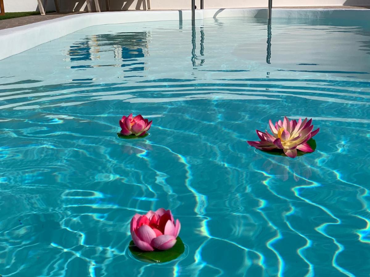 Pico Partido Villa Heated Pool Tinguaton 外观 照片